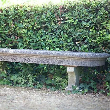 Porquier *